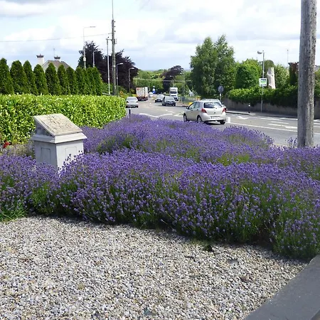 Innisfree 3* Charleville
